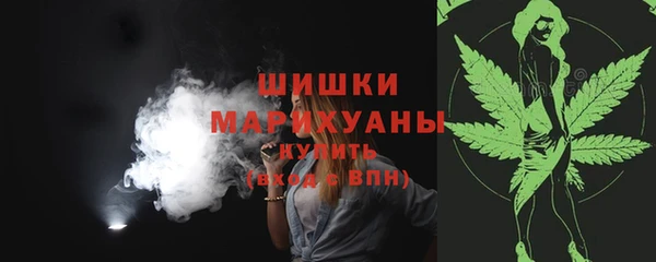 стаф Горнозаводск