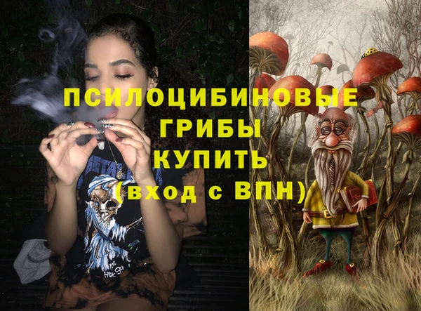 a pvp Гусиноозёрск