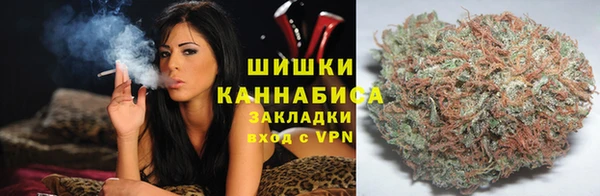 прущие крисы Гусев