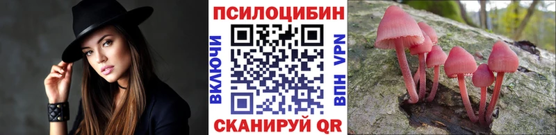 Псилоцибиновые грибы мицелий  Черемхово 